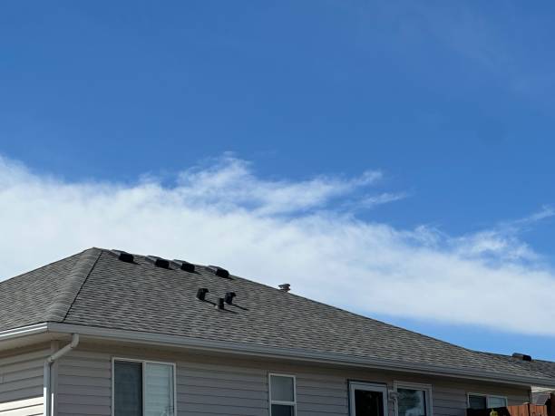 Best Sheet Metal Roofing  in Jessup, MD